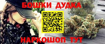 mdpv Гатчина