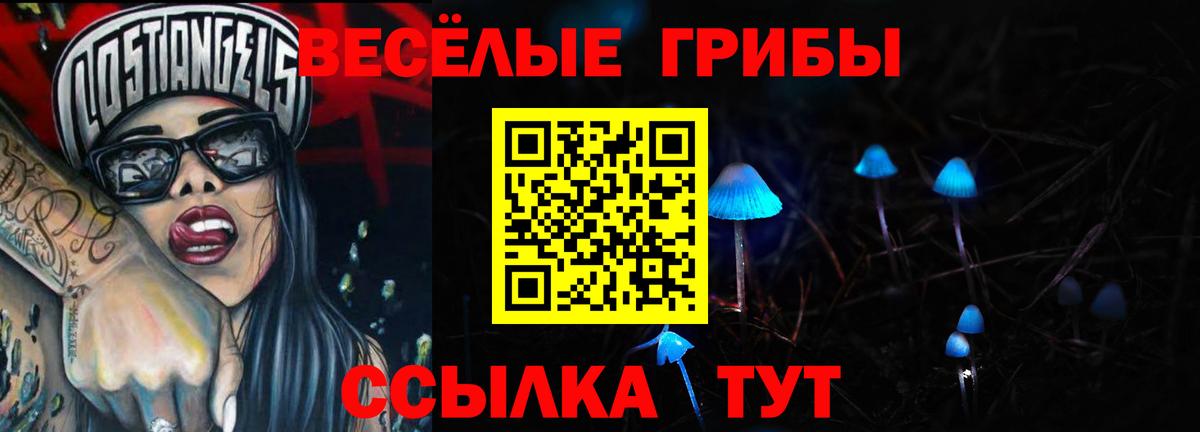 Псилоцибиновые грибы Psilocybe  Вход с VPN  Заводоуковск  Псилоцибиновые грибы мухоморы 